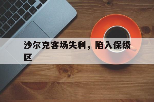 沙尔克客场失利，陷入保级区的简单介绍